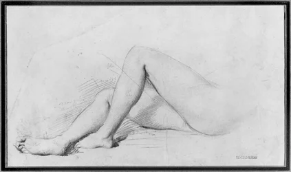 Study of Legs